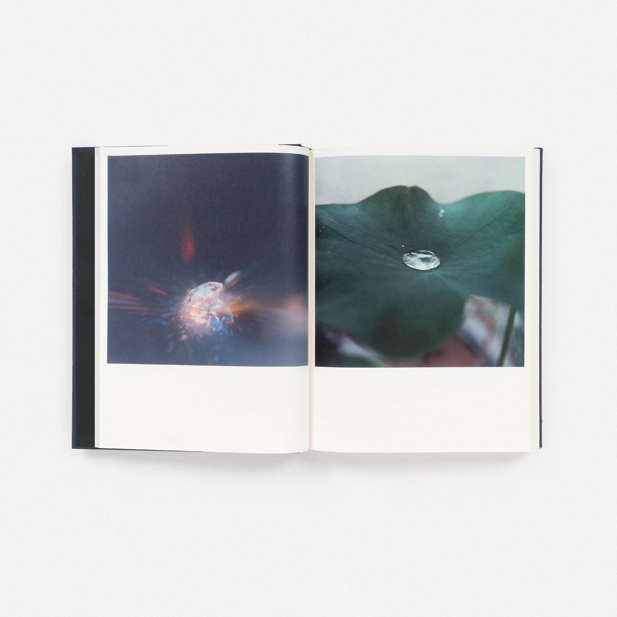 Rinko Kawauchi: Illuminance