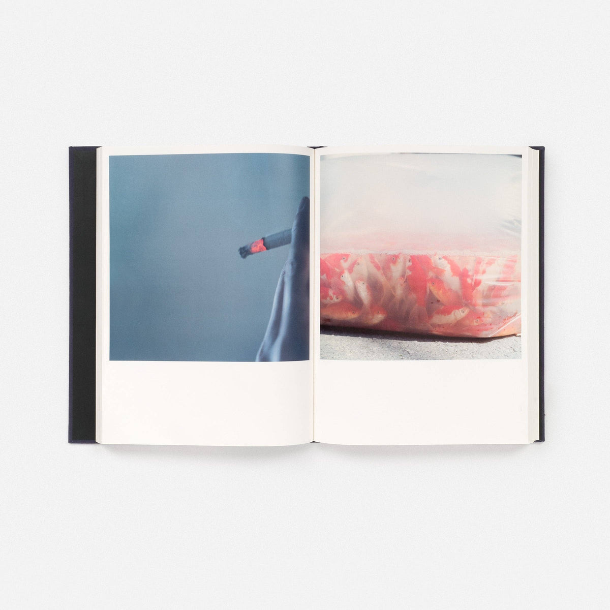 Rinko Kawauchi: Illuminance